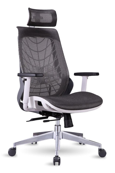 Spider Mesh Chair HB, High Back Mesh Chair, Chair, Office Chair, Ergonomic Chair, Spider Chair, Mesh Chair, Ergo Space Furniture