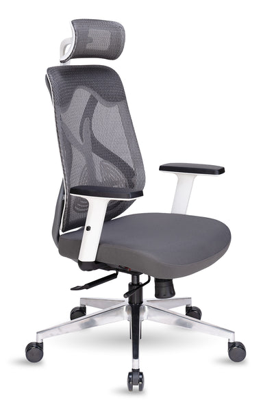 Glider Cushion Chair HB, Mesh Chair, Mesh Office Chair, Chair, office Chair, High Back Chair, High Back Mesh Chair, Ergo Space Furniture