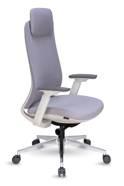 ELAN Chair High back, Ergonomic chair, Office chair, High Back Chair, Chair, Ergo Space Furniture